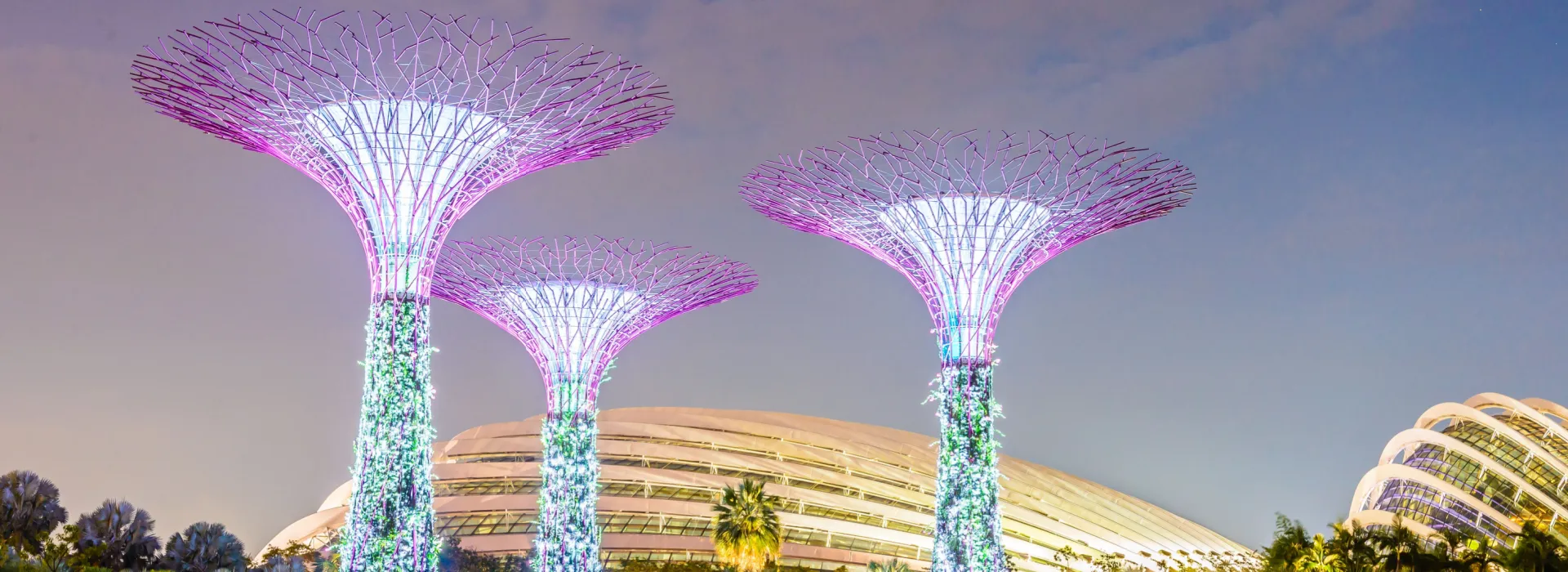 Urban Wonder The Spirit of Singapore